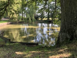 IMG_5162