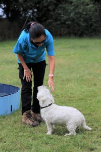 IMG_0570