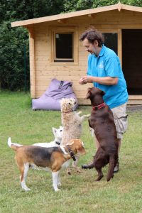 IMG_0798