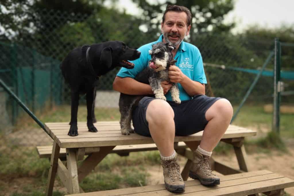 human and dog