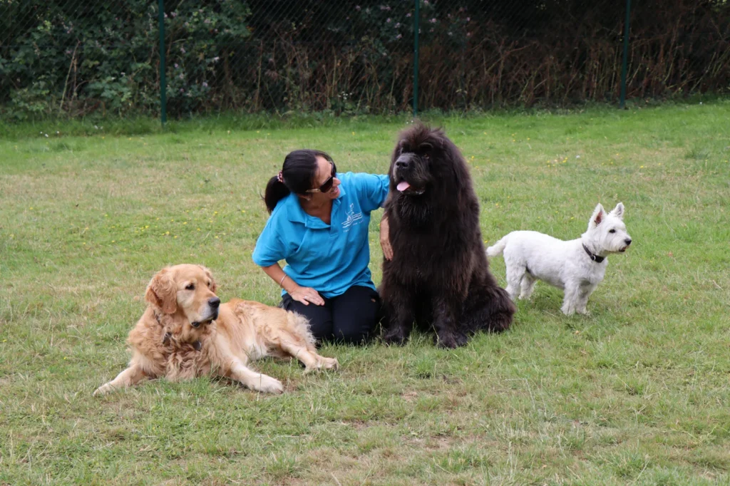 Tails of The Lake team member with dogs during daycare